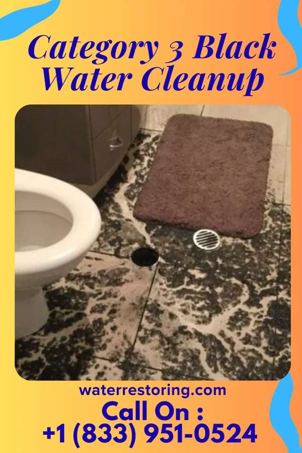 Category 3 Black Water Cleanup in Erwin, TN