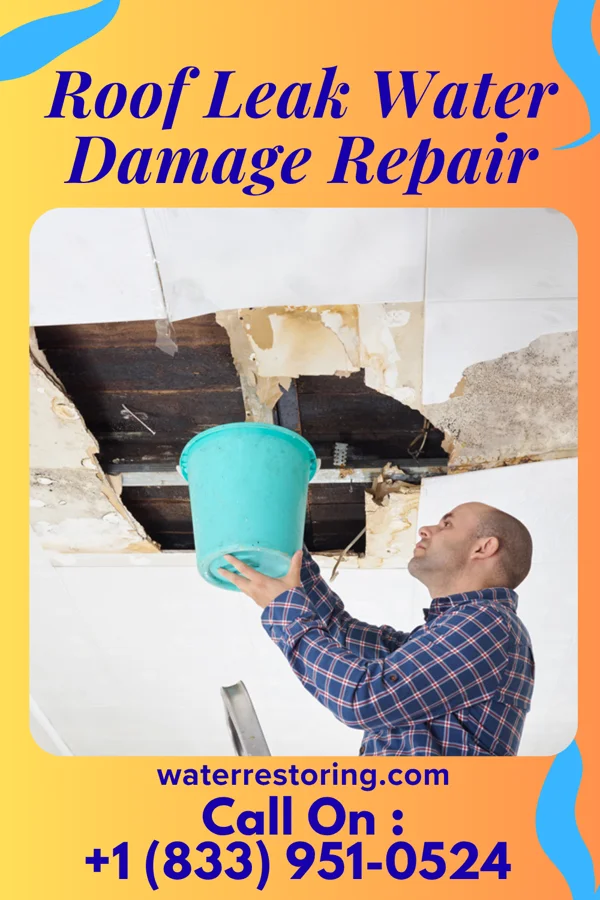 Roof Leak Water Damage Repair in Erwin, TN