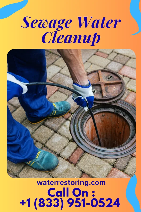 Sewage Water Cleanup in Erwin, TN
